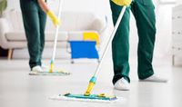 End Of Tenancy Cleaning London - 45262 varieties
