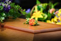 транспортиране на покойник - 96735 промоции