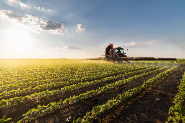 селско стопанство - 18370 разновидности | agrovest.bg селско стопанство - 33582 разновидности