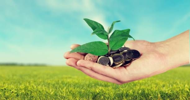 субсидии - 25404 разновидности | agrovest.bg субсидии - 8026 разновидности